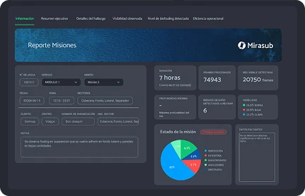 Reporte de una misión de inspección